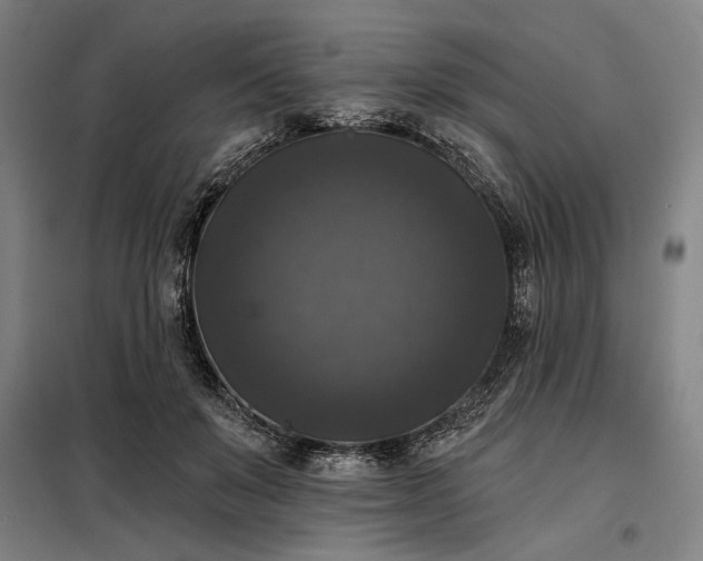X0000097990503200804021011
