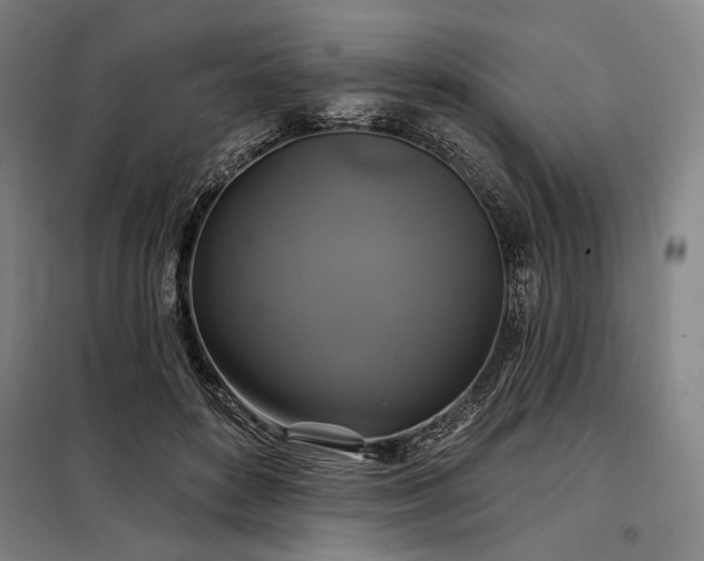 X0000097990504200804021011