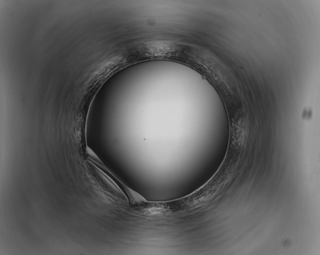 X0000097990505200804021011