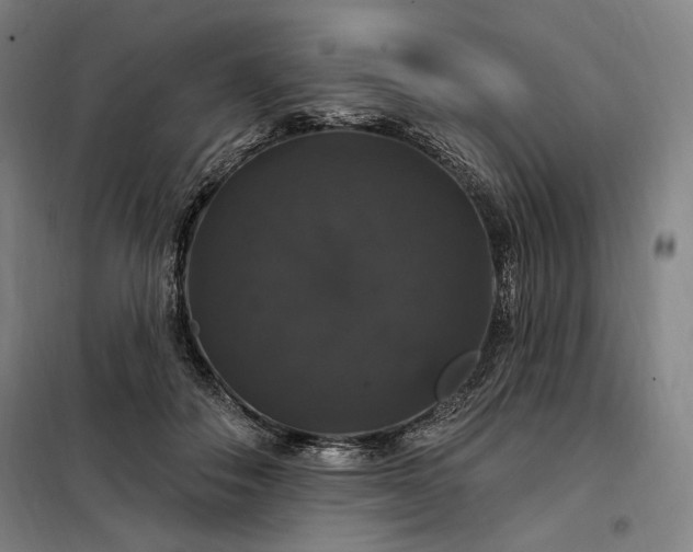X0000097990506200804021011