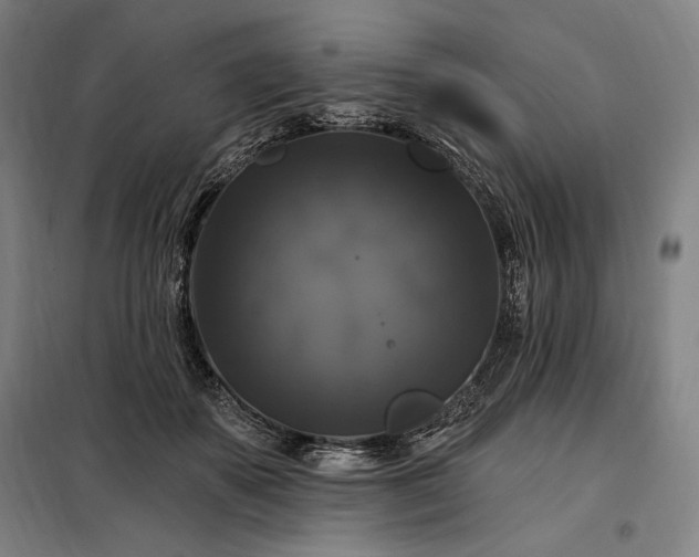 X0000097990507200804021011
