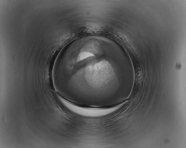X0000097990508200804021011
