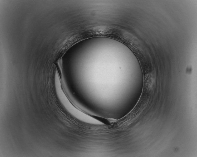 X0000097990509200804021011