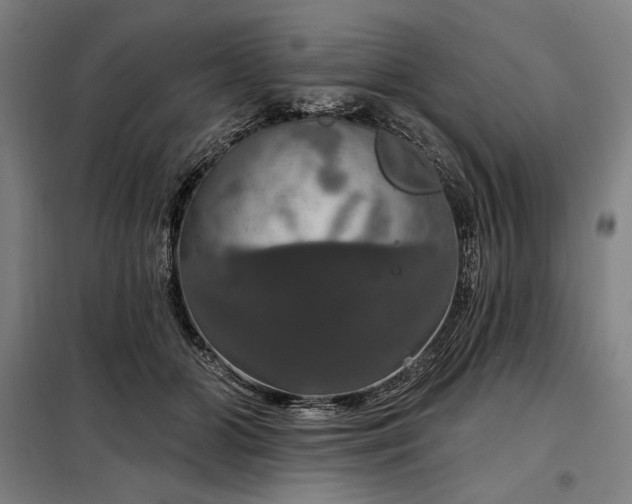 X0000097990510200804021011