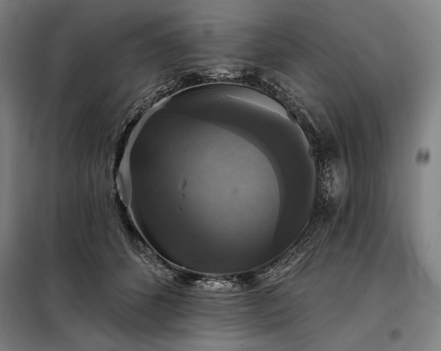 X0000097990512200804021011