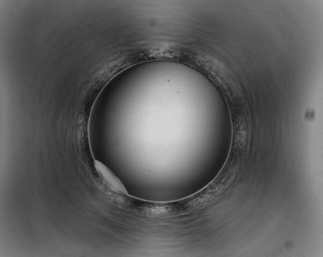 X0000097990513200804021011