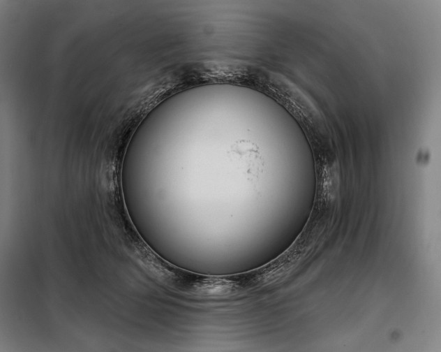 X0000097990514200804021011