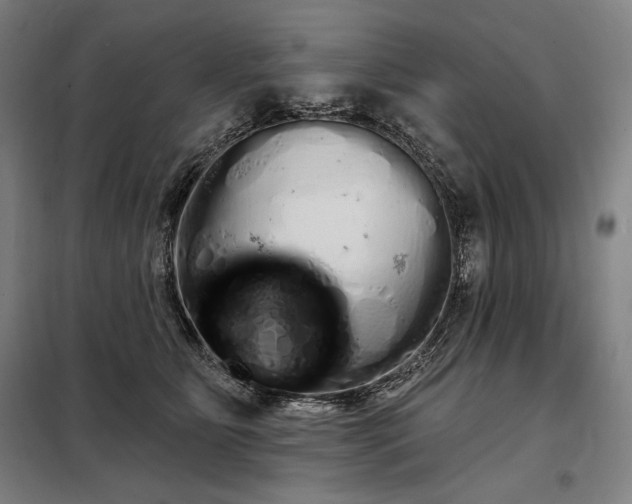 X0000097990515200804021011