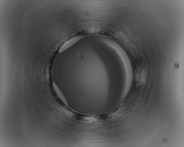 X0000097990516200804021011