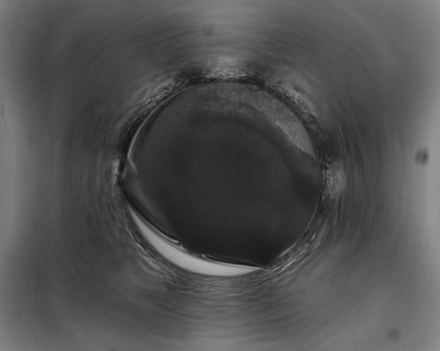 X0000097990517200804021011