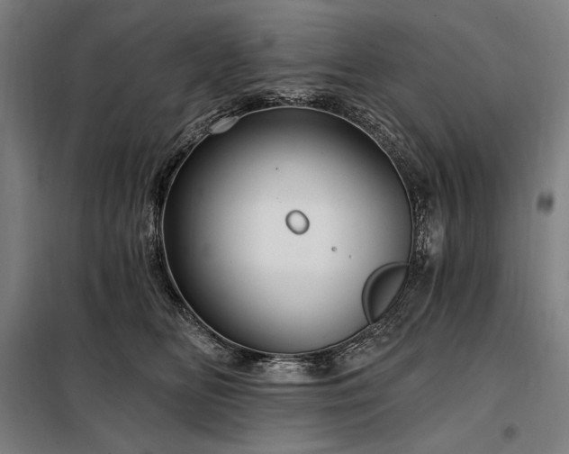 X0000097990518200804021011
