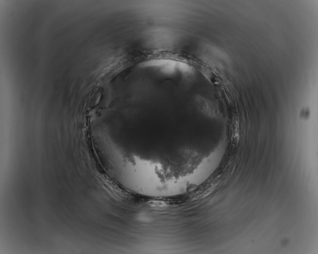 X0000097990519200804021011