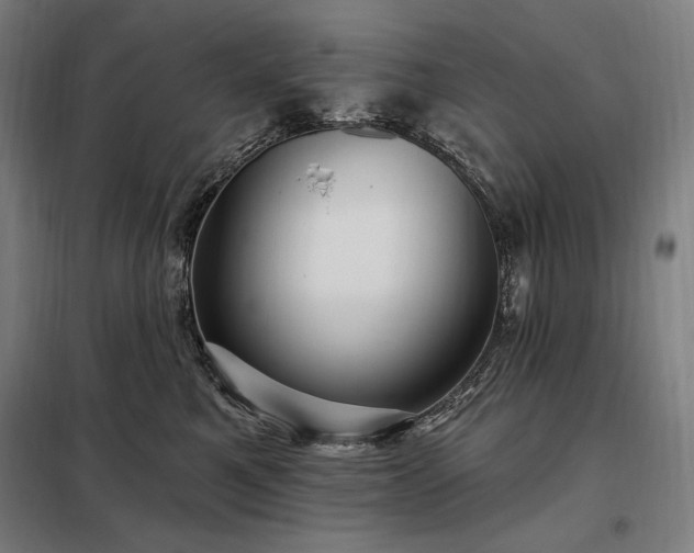 X0000097990521200804021011