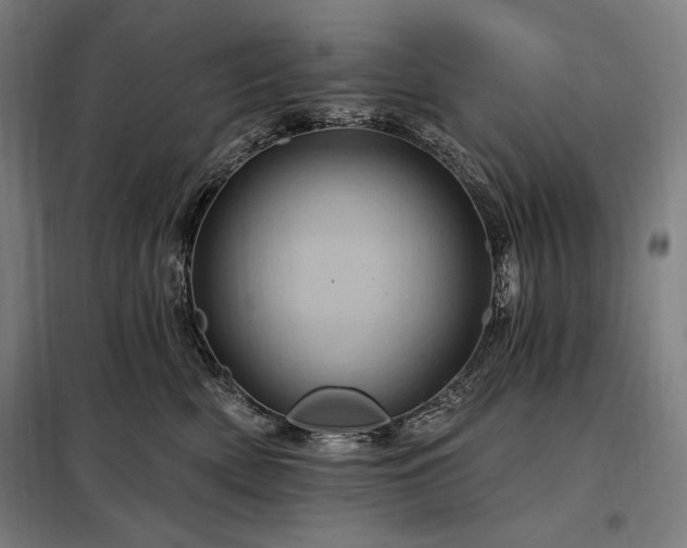 X0000097990522200804021011