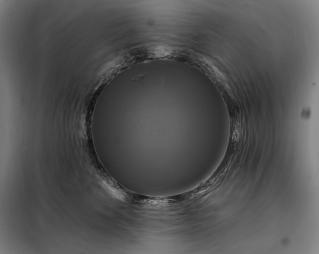 X0000097990524200804021011