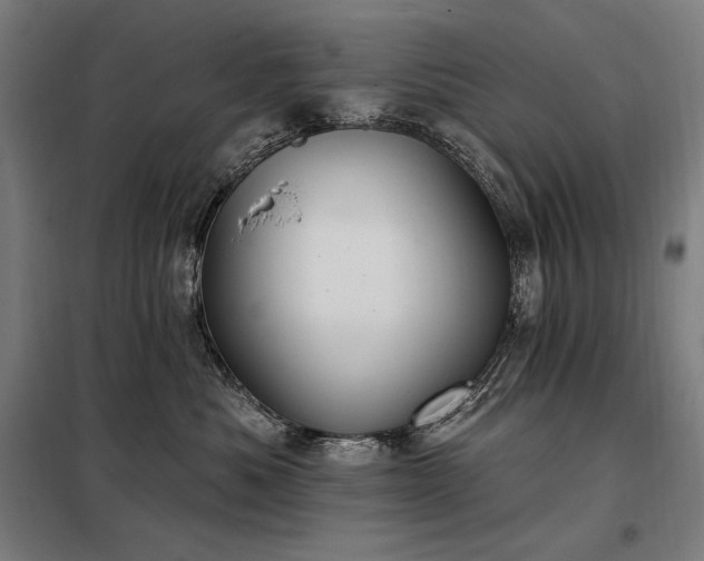 X0000097990525200804021011