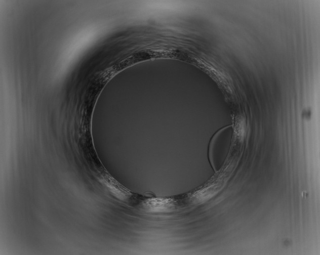 X0000097990526200804021011