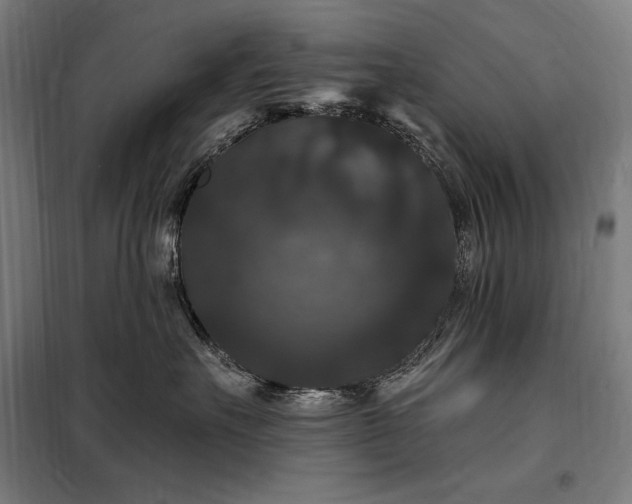 X0000097990527200804021011