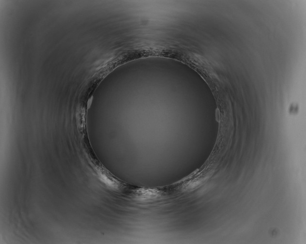 X0000097990528200804021011