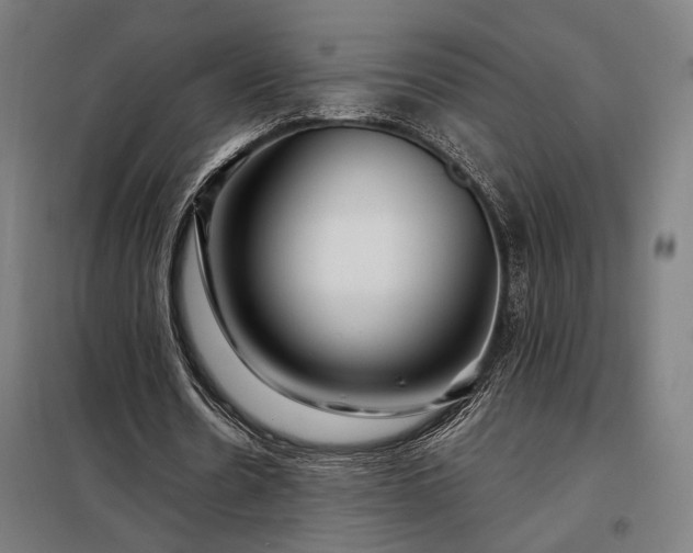 X0000097990530200804021010