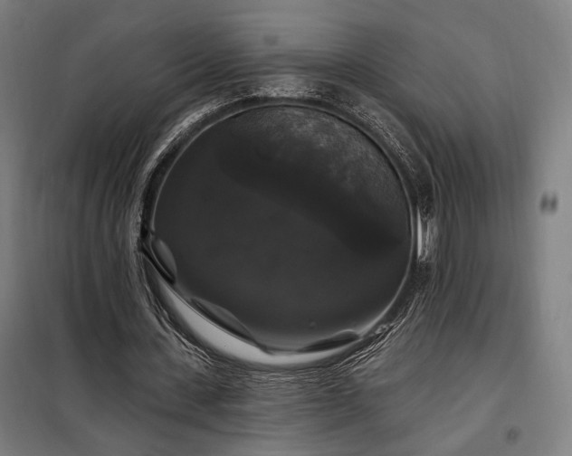 X0000097990531200804021010
