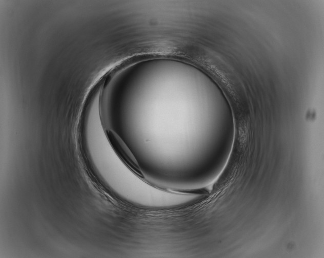 X0000097990532200804021010