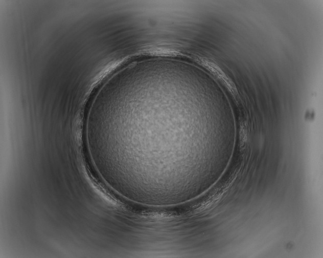 X0000097990533200804021010