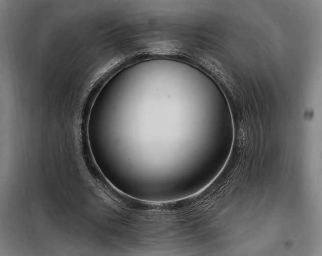 X0000097990535200804021010
