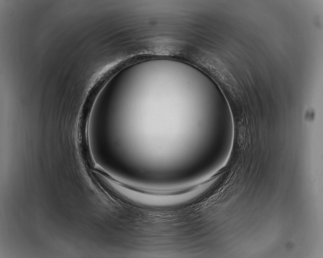 X0000097990536200804021010