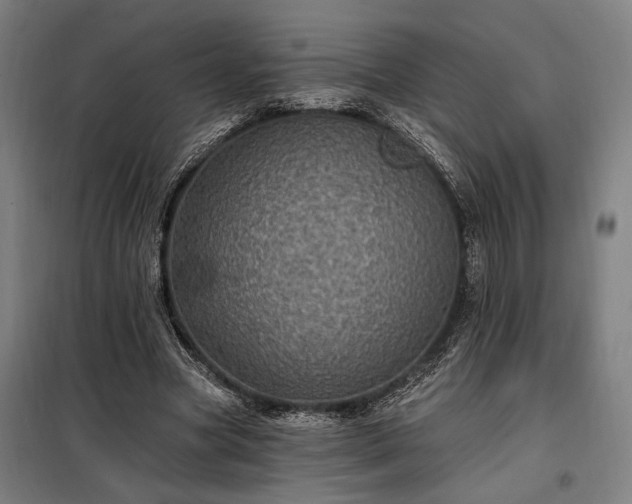 X0000097990537200804021010