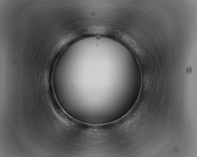 X0000097990538200804021010