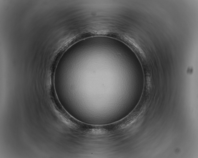 X0000097990541200804021011