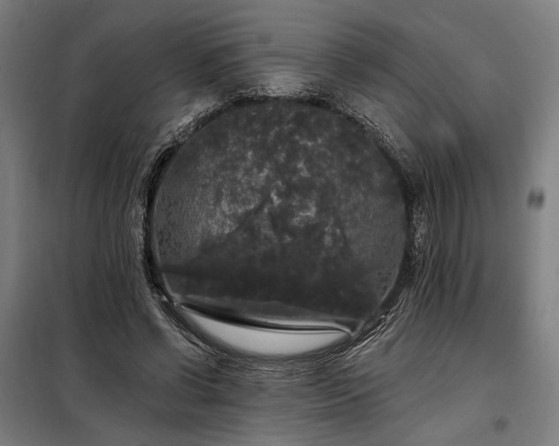 X0000097990542200804021011