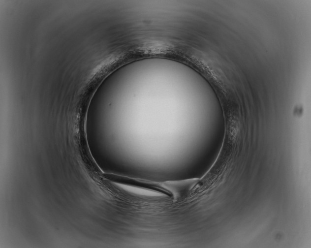 X0000097990543200804021011