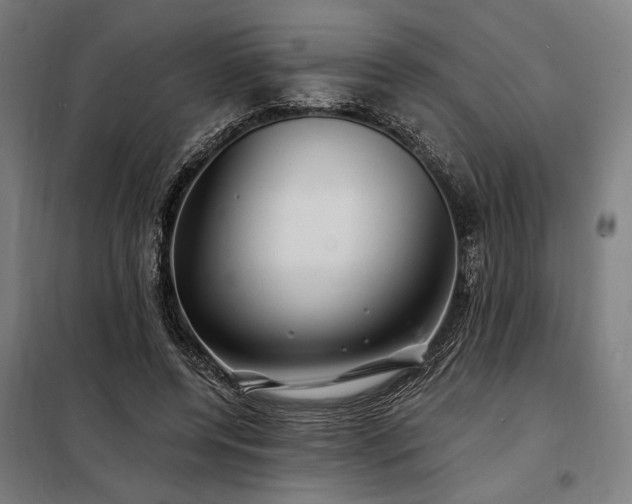X0000097990544200804021011