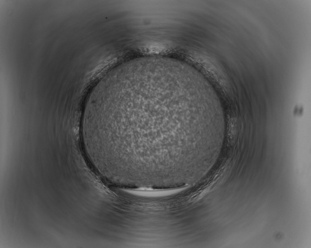 X0000097990545200804021011