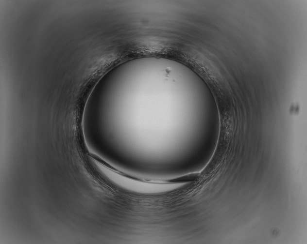 X0000097990546200804021011