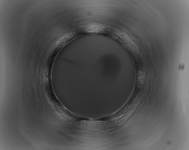 X0000097990547200804021011
