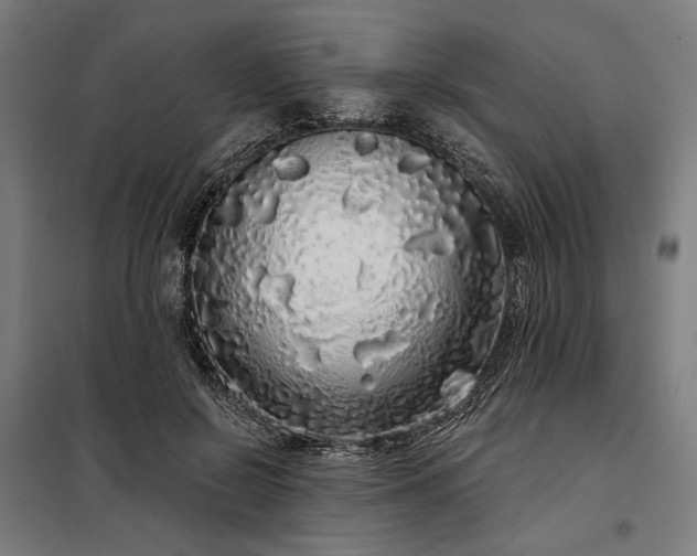 X0000097990550200804021011