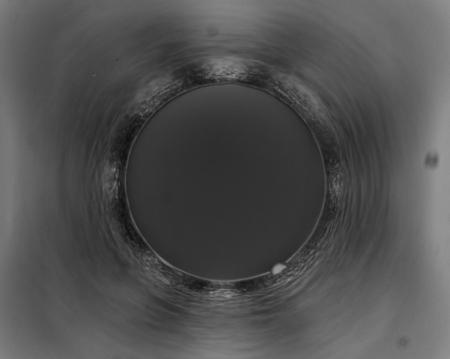 X0000097990551200804021011