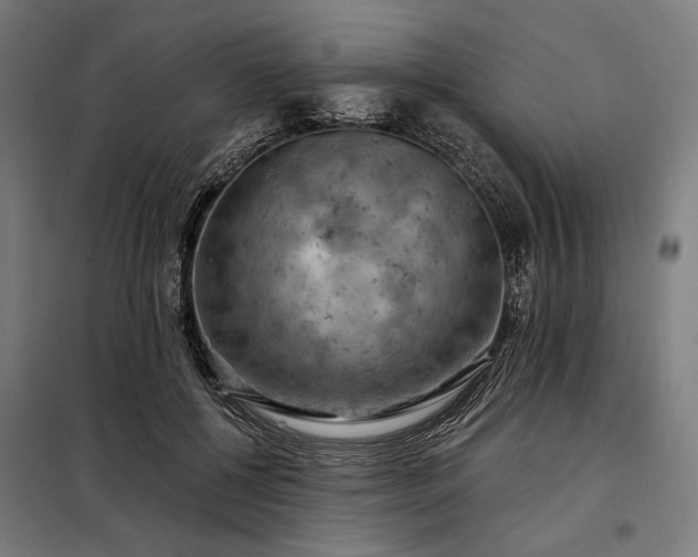 X0000097990552200804021011
