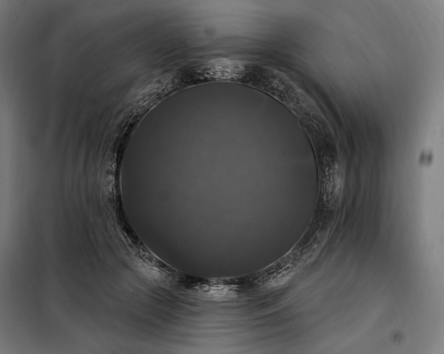 X0000097990553200804021011