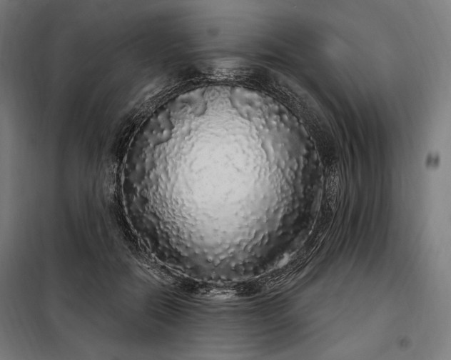 X0000097990554200804021011