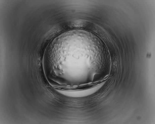 X0000097990555200804021011