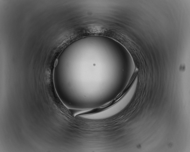 X0000097990556200804021011