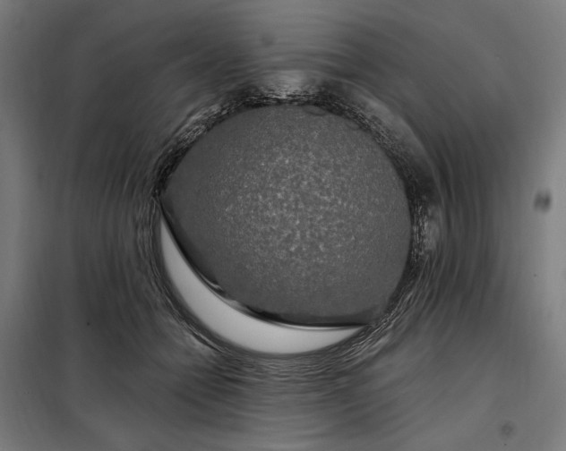 X0000097990558200804021011