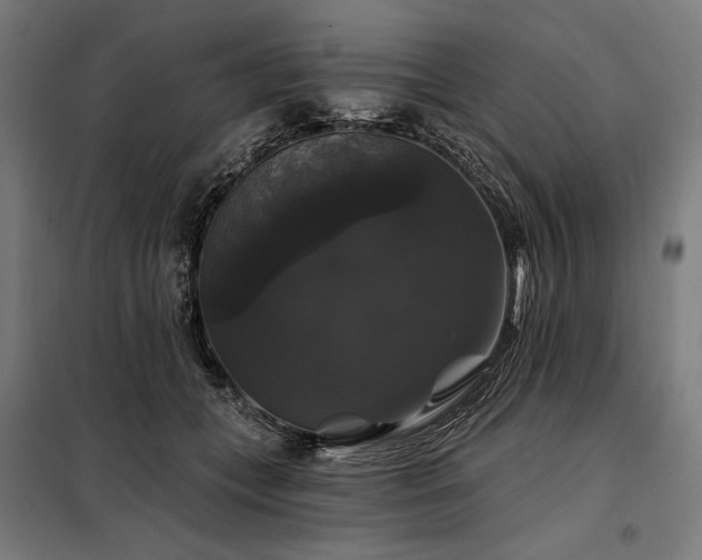 X0000097990559200804021011