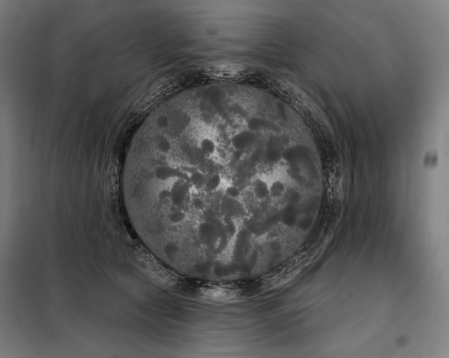X0000097990561200804021011