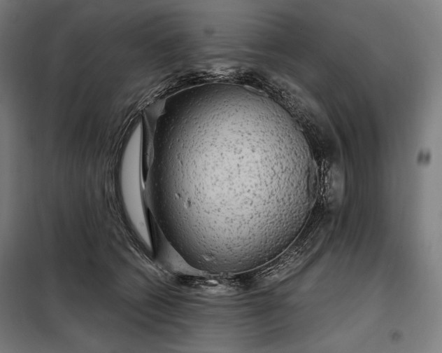 X0000097990562200804021011