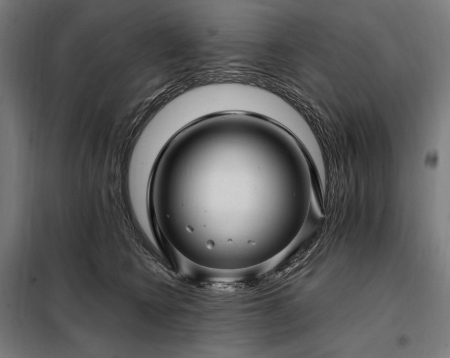 X0000097990566200804021011